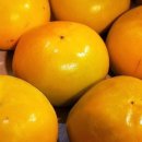 창원3 | 제철 가을 단감 추천 고당도 프리미엄 부유 창원 단감 3kg 후기