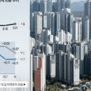 DSR 규제에 지방 날벼락… 대구·부산 주택거래 실종 이미지