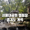 [아이랑 경기도] 서울대공원 캠핑장 - 경기도에서 계곡 물놀이 + 텐트 없어도 캠핑 즐기기 (예약방법...