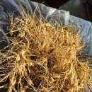 양지슈퍼 이미지