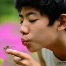 동화속으로 이미지