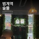 독도프라자-303 | 범계역 술집 | 한식 주점 술풀 후기(애견 동반/야구 관람 가능)