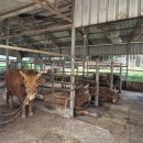 오천축사 이미지