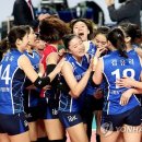 최강 명문체육관 이미지