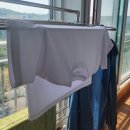 🌻프랭클린 세탁가족 [👶🏻아기 무향세탁세제, 섬유유연제, 캡슐세제, 세탁안심필터] 사용후기