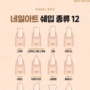 파라테라피네일