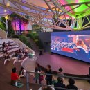 무료영화상영(토이스토리 1) 이미지