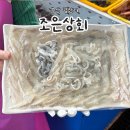조은낙지 | 민락활어직판장 가격 착한 자연산 도다리회 맛집 조은상회