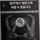 대조-008 | KBS 한국어능력시험 84회 20250420시험
