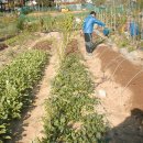 병호농장 이미지