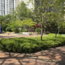 태을어린이공원 이미지