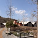 계룡산글램핑 | 내돈내산 대전 근교 공주 계룡산 파크오브글램핑 후기 애견동반 가능