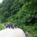 보성고등학교 이미지