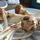 청마루참숯불 이미지