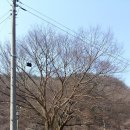 상도치마을회관 이미지