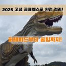 춤의 고을 고성사람들 | 고성 공룡엑스포 2025 후기｜아이 셋 가족 나들이 리얼 꿀팁 총정리
