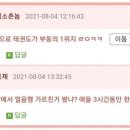 우리태권도장 이미지