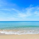 바다 그리고 이미지