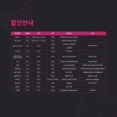 복싱파이터