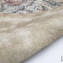 디테일박스 이미지