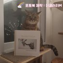 강아지 고양이 성장과정 사진 포토북 제작 <b>더</b><b>갤러리</b>M