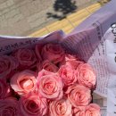 종합상가 | 남대문시장 꽃종합상가 방문 후기｜회현역 꽃시장 가는 길, 영업시간, 남대문시장 장미