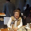 네동세