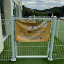 펫프닝 타운 이미지