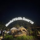 그루밍쇼 | [엄마랑 싱가포르 여행] 2. 나이트사파리 후기 &amp; 예약 방법