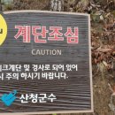 원지강변로 네이버블로그