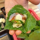 회드림