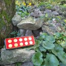 무태한의원 | [제주시 한의원] 갱년기를 겪는 여성의 화병 치료사례