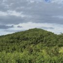 소반농장 이미지