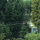 사랑애약국 | 꾸준함을 이기는 자는 없음을