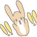아칸디자인 이미지