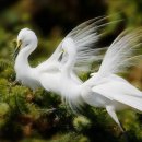 심산유곡 앞 이미지