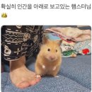 모녀국수 이미지