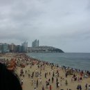 해운대 이미지