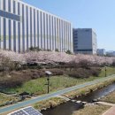 자연친화코스2 이미지