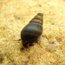 한국(181) 이미지