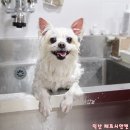 이:쁨