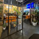 강릉육사시미 | [티캣의 먹방로그] 강릉육사시미 독산점 세트메뉴 가성비 좋은 맛집