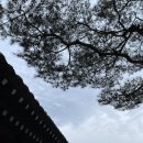 흙토담골 | 경기광주 퇴촌맛집 흙토담골 부모님 모시고 가기 좋은 한옥 한정식