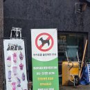 파이프브루 - 용인시 처인구 경기동로1024번길 62 | 용인 이동저수지 베이커리 카페 저수지 뷰 파이프브루 후기