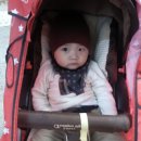 크레이션 asb 이미지