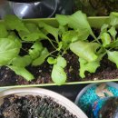 계양종합사회복지관 이미지