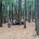 서귀포자연휴양림야영장 이미지