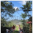 강남큰빛유치원 이미지