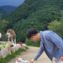 강원사슴목장 이미지