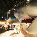 오션피드 이미지